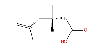 (1R,2S)-1-Methyl-2-(1-methylethenyl)-cyclobutaneacetic acid